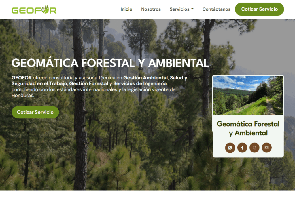 Portafolio Diseño Web