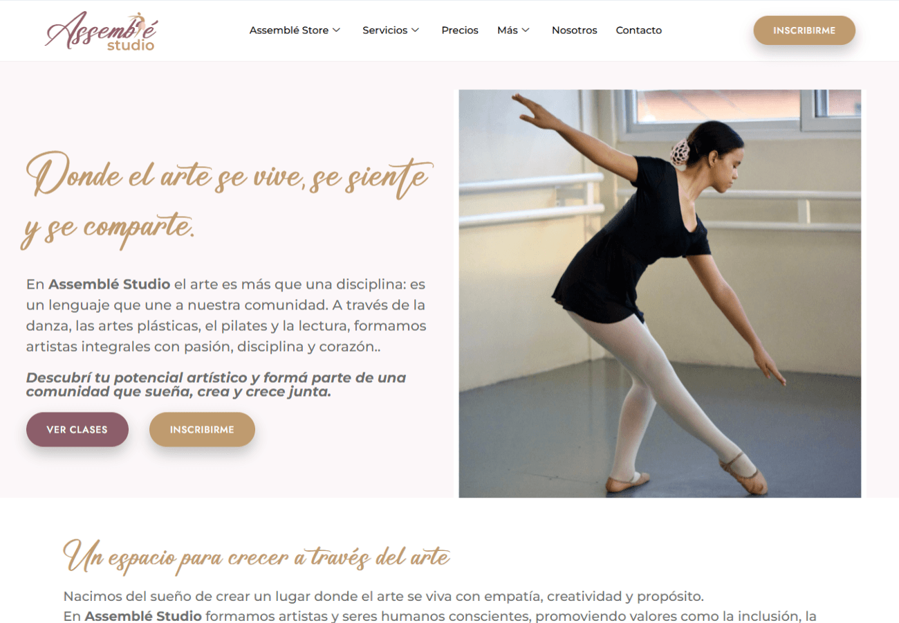 Portafolio Diseño Web