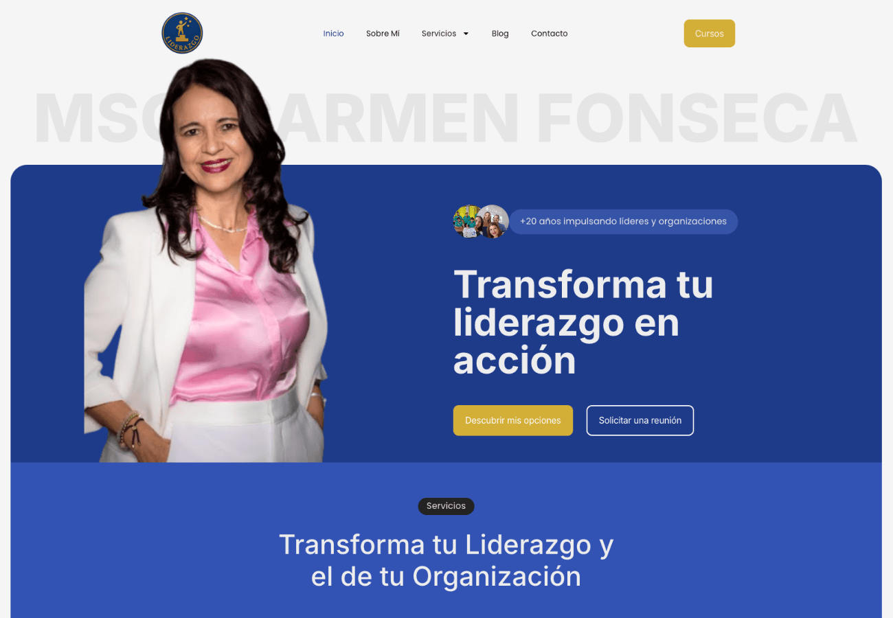 Portafolio Diseño Web