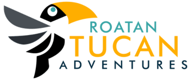 Logo de Roatan Tucan Adventures