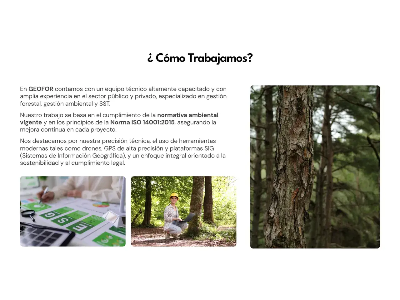 Cómo trabajamos en el sitio de GEOFOR