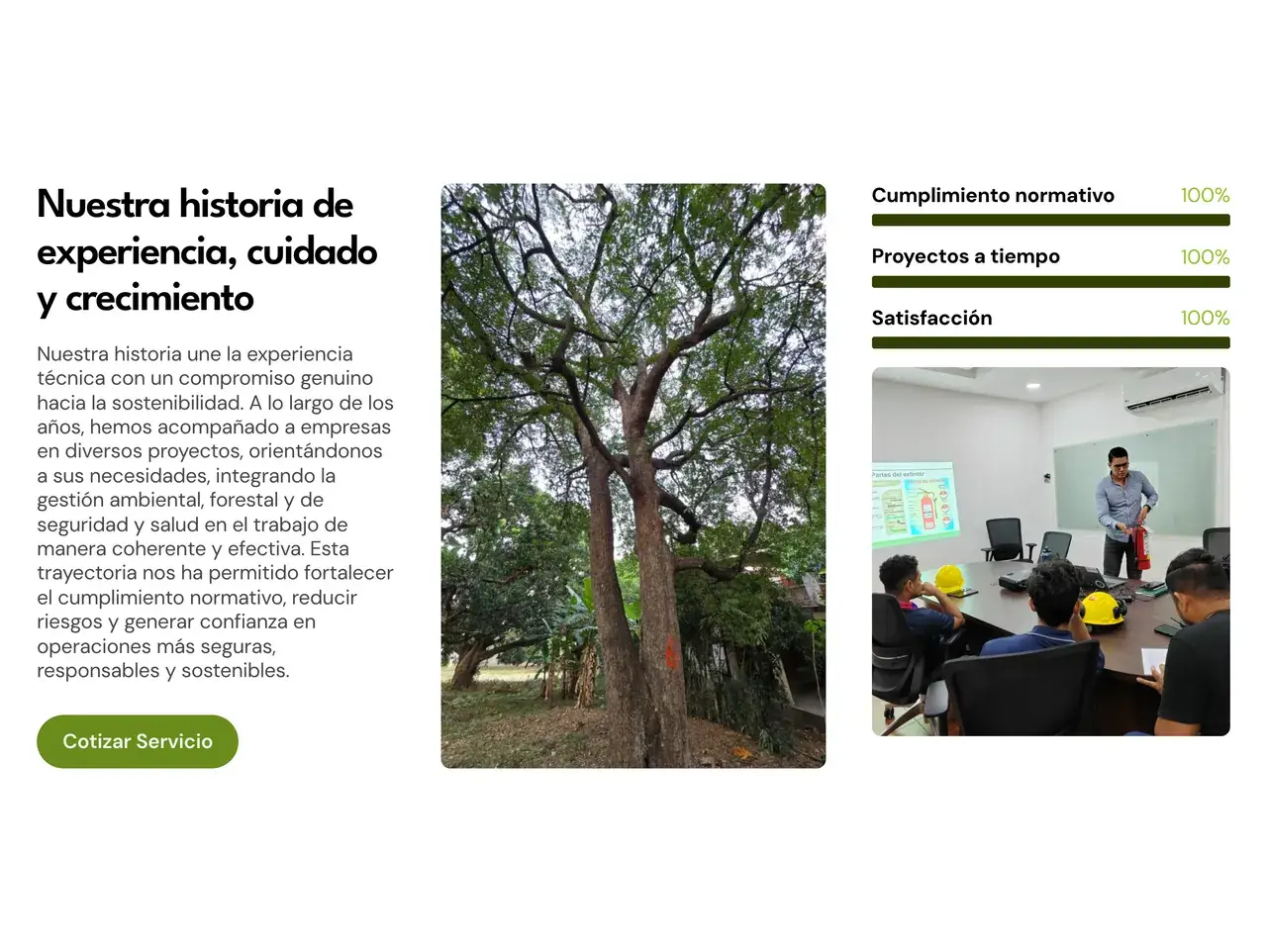 Nuestra historia en el sitio de GEOFOR