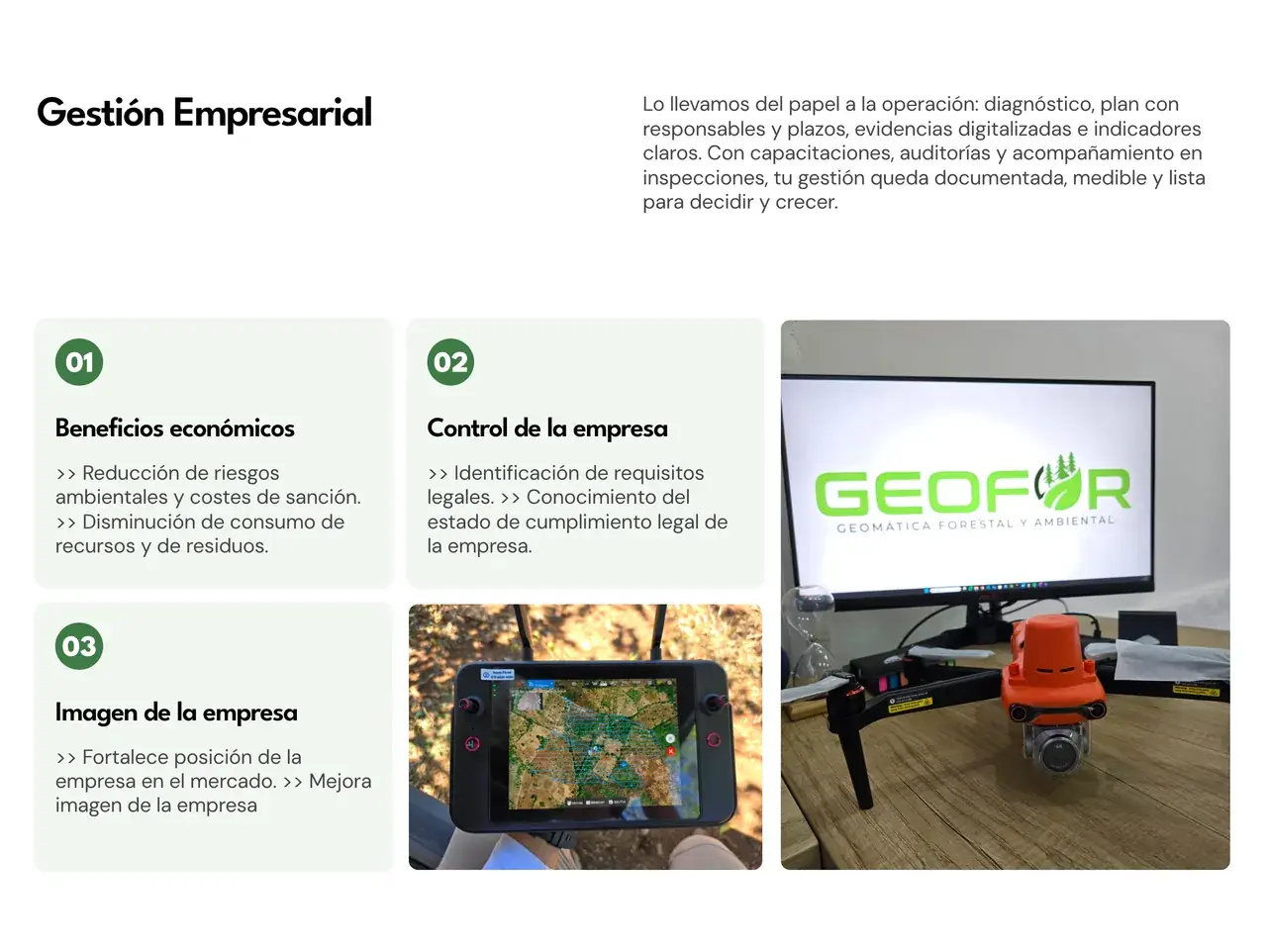 Gestión empresarial en el sitio de GEOFOR