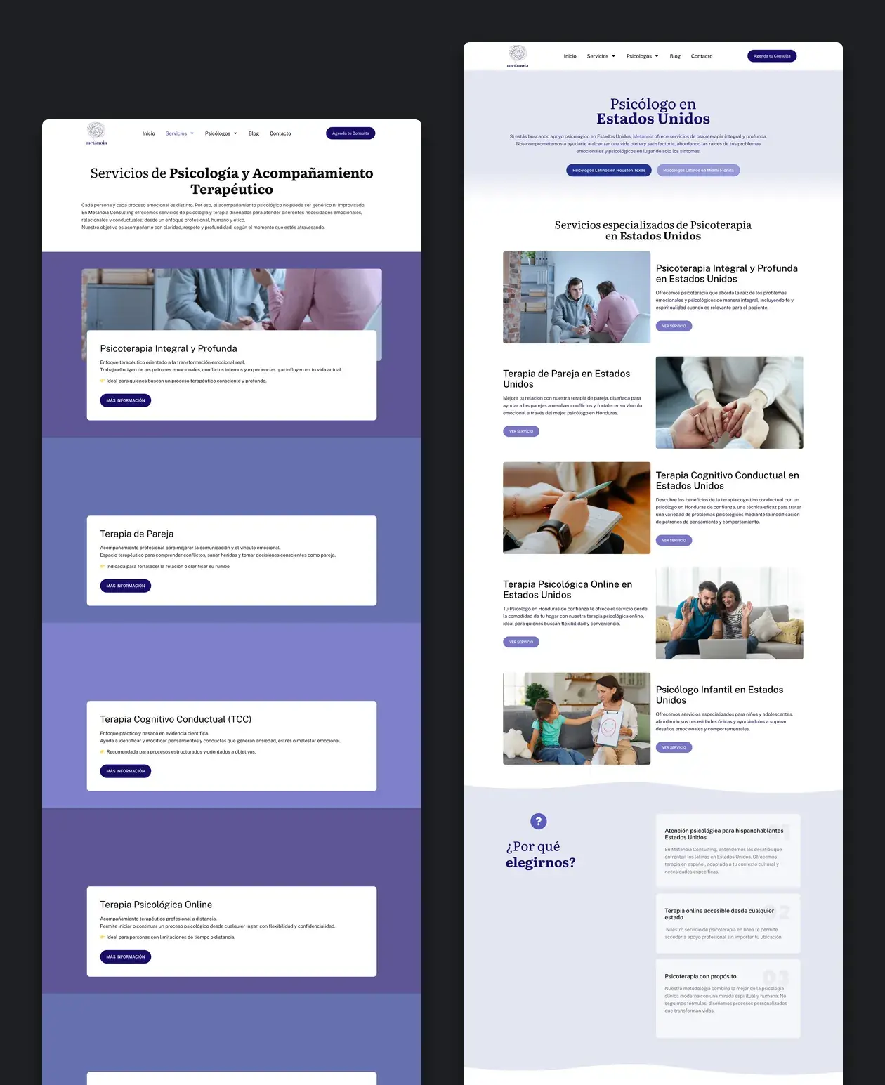 Páginas interiores del sitio de Metanoia Consulting